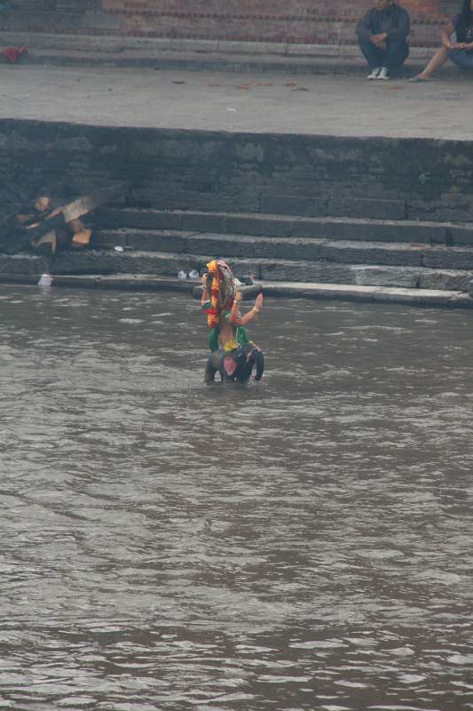 India & Nepal 2011 - 0281